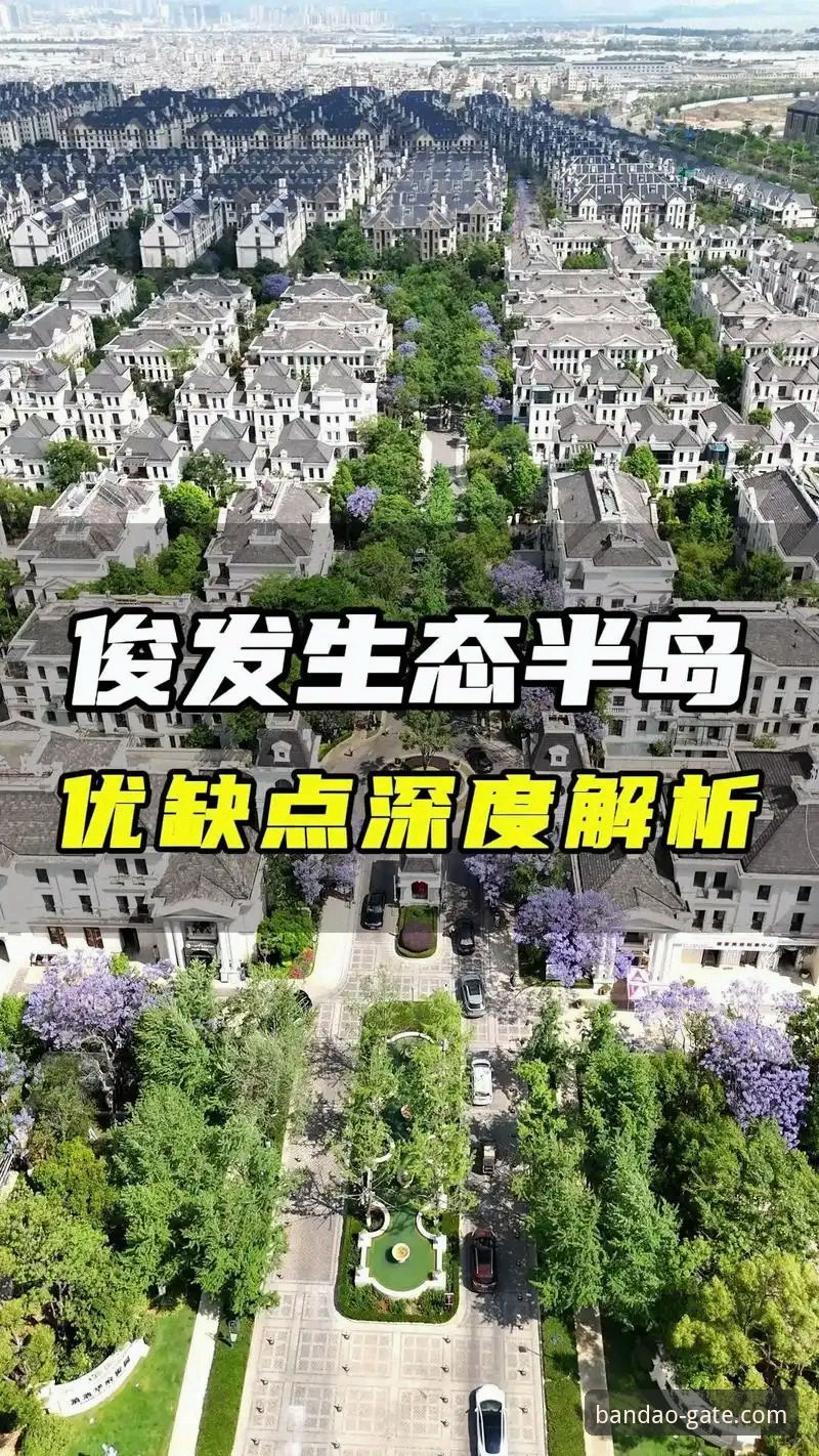 半岛官网平台实战深度分析：从注册到投注的完整操作指南