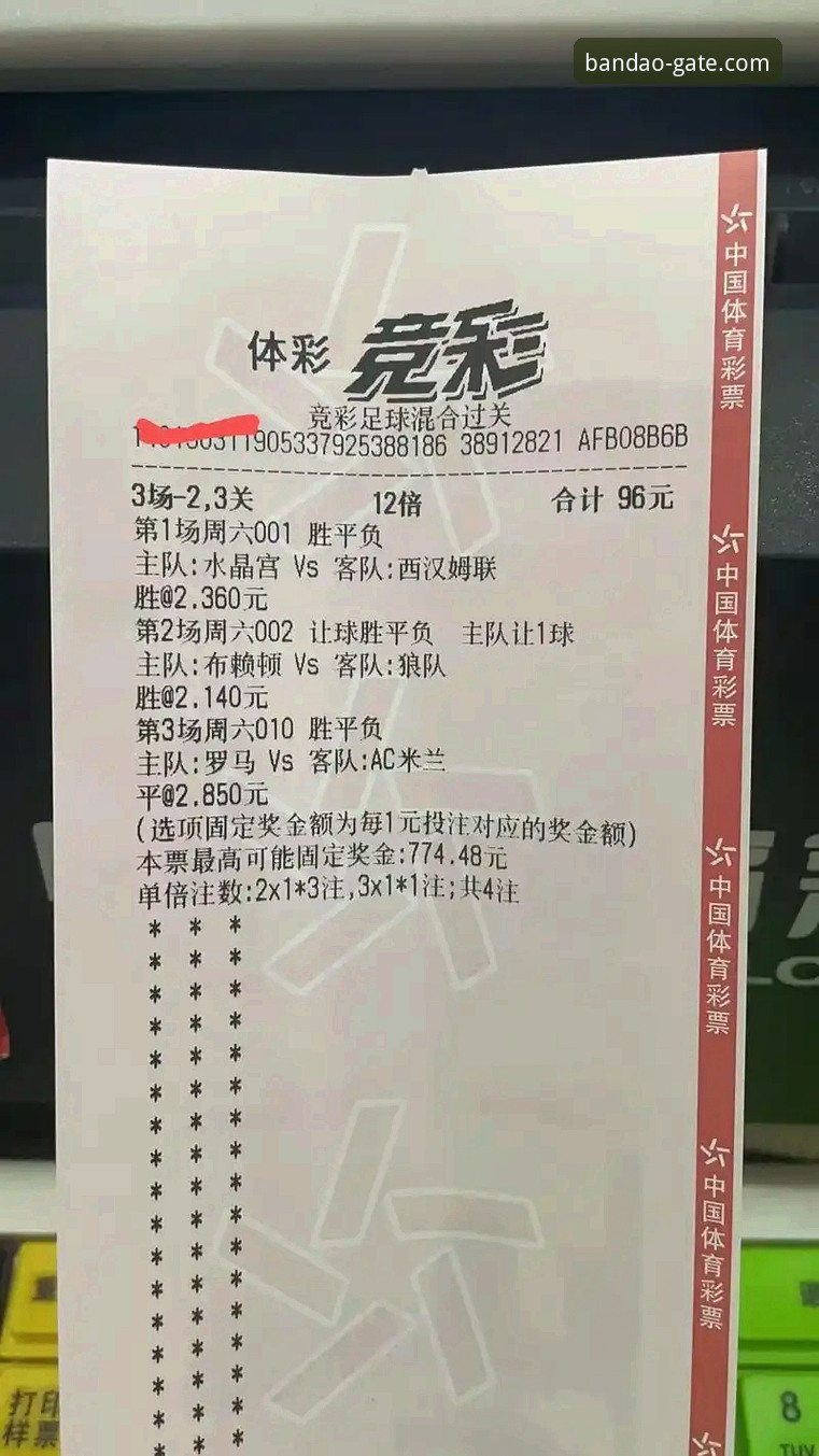 半岛官网平台详解：BANDAO官网入口与体育竞彩生态解析