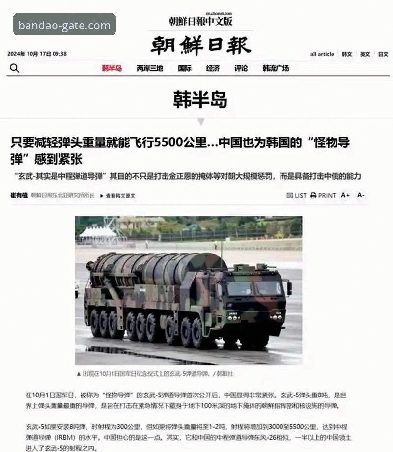 揭秘半岛官网下载攻略：新手必知的5个关键步骤与常见陷阱